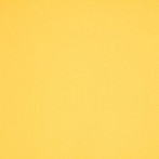 Выставочный ковролин Betap XPO 350