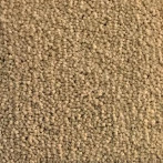 Коммерческий ковролин Betap City Life 67 Кремового цвета