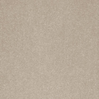 Ковролин AW Triton 39 бежевый