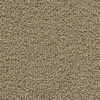 Ковролин AW Pasticcio 34 коричневый Ковролин AW Pasticcio 34 коричневый