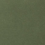 Ковролин AW La Traviata 24 зеленый