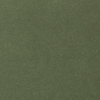 Ковролин AW La Traviata 24 зеленый Ковролин AW La Traviata 24 зеленый