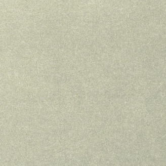 Ковролин AW La Traviata 02 зеленый Ковролин AW La Traviata 02 зеленый